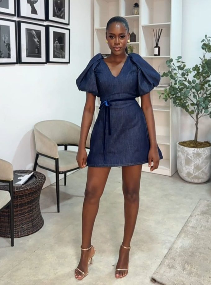 Açaí Denim Dress